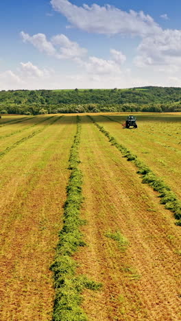 beautiful natural environment on the field in summer. drone view over the field with a tractor working on a grassland during sunny day. vertical video