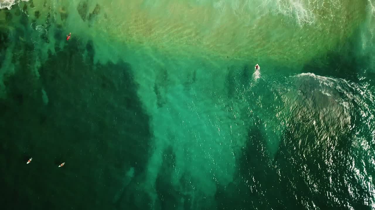 drone cinematográfico a vista de pájaro siguiendo a un surfista atrapando una ola en la costa norte de oahu.