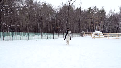 girl rides on horse in the paddock. jockey girl trains the the horse right movements. quiet winter cloudy day. a little snow falls.