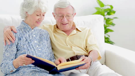 old couple looking at photography album