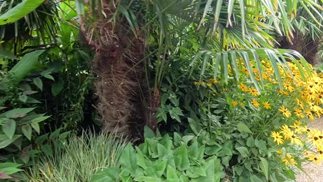 jardín tropical con flores amarillas brillantes