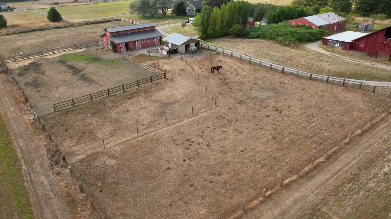 vista aérea de un caballo solitario en un corral de entrenamiento