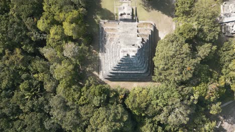 the pyramid of thetemple 1 at chacchoben, mayan archeological site, quintana roo, mexico