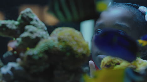 black-girl-looking-at-fish-in-aquarium-curious-child-watching-colorful-sea-life-swimming-in-tank-learning-about-marine-animals-in-underwater-ecosystem-inquisitive-kid-at-oceanarium