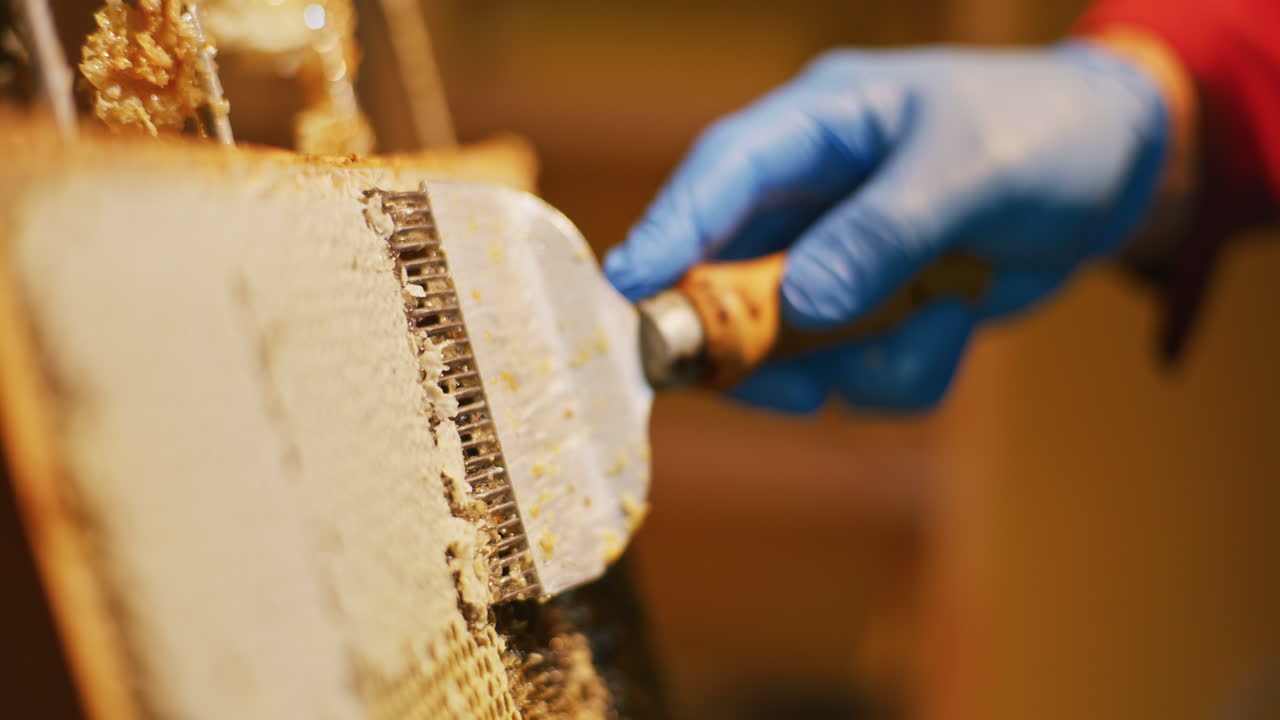 el apicultor quita la cera con una espátula
