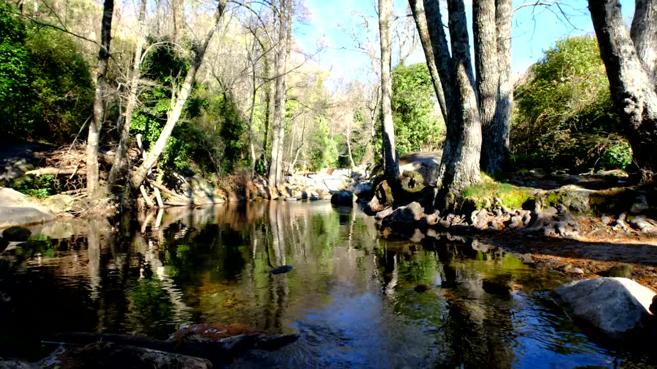 라 베라 (la vera) 마을 주변의 열대우림에서 흐르는 산악 강.