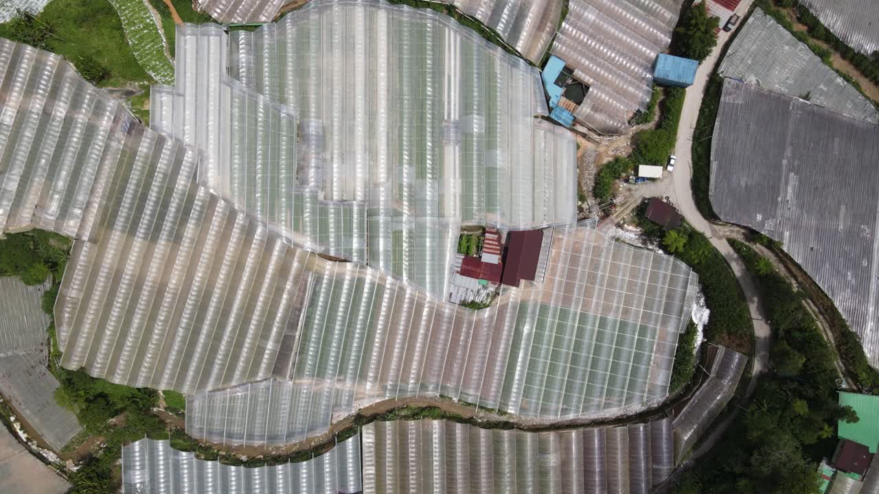 말레이시아의 카메론 하이랜드 지역 내의 브린창 지역의 일반 풍경