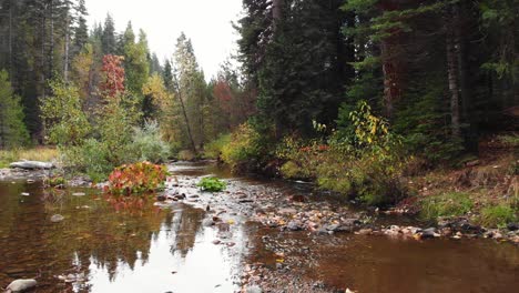 Aerial-shot-down-a-rocky-mountain-creek-with-trees-on-the-bank-with-fall-colors