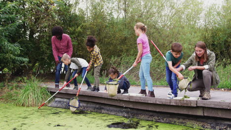 adult team leaders show group of children on outdoor activity camp how to catch and study pond life