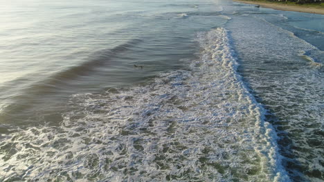 aerial view of a surfer swimming out to catch some waves on a beautiful morning, with burleigh hill in the background at mermaid beach gold coast australia