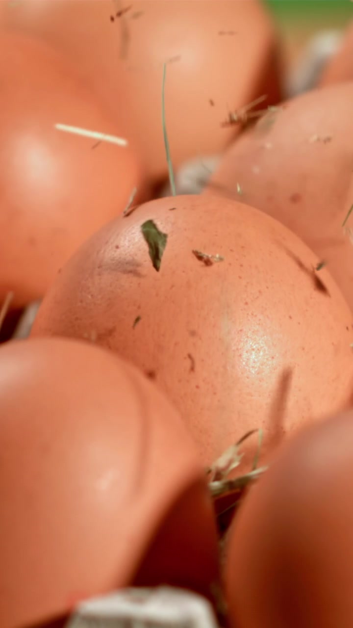 Slow Motion Hay Falling on Farm Fresh Brown Eggs