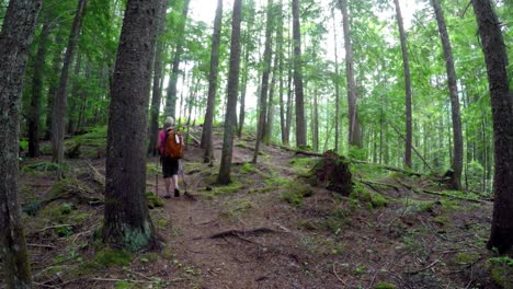 mujer madura caminando por el bosque 4k