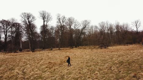 a woman walking in  dyrehaven- deer park copenhagen