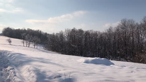 Caminata-Matutina-En-Bosques-Cubiertos-De-Nieve