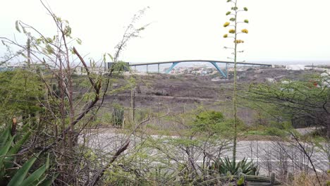 Blick-Auf-Die-Juliana-Brücke-Eingang-Der-Bucht-Von-Sint-Anna-Zwischen-Der-Karibischen-Vegetation