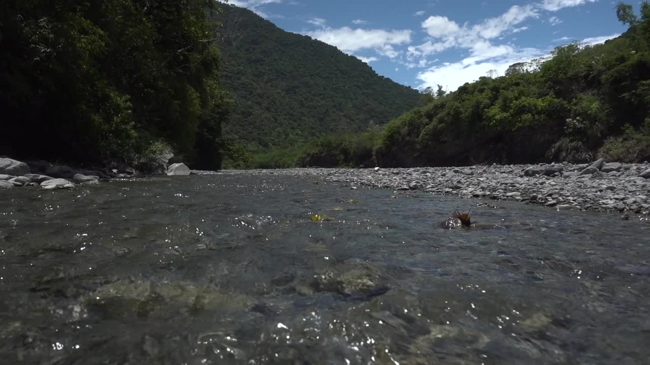arroyo poco profundo que fluye sobre las rocas en un paisaje prístino