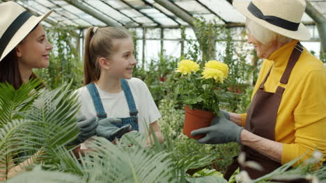 grandmother, mother, and granddaughter enjoying flowers in greenhouse