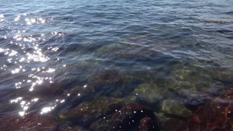 agua reluciente con rocas cubiertas de musgo en la orilla del mar durante el verano