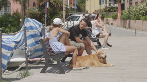 couple on a bench with a golden retriever dog in the old town of monterosso coastal cinque terre villages in italy. static shot