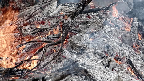 Close-up-panning-shot-of-burning-brush-pile