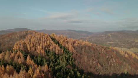 Eine-Drohnenaufnahme-Aus-Der-Luft-Einer-Landschaft-Mit-Einem-See-Im-Hintergrund-Im-Spätherbst