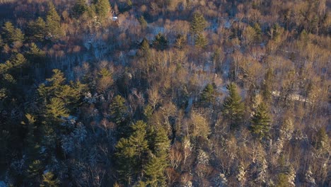 flying forward over a winter forest just before sunset in northern maine aerial