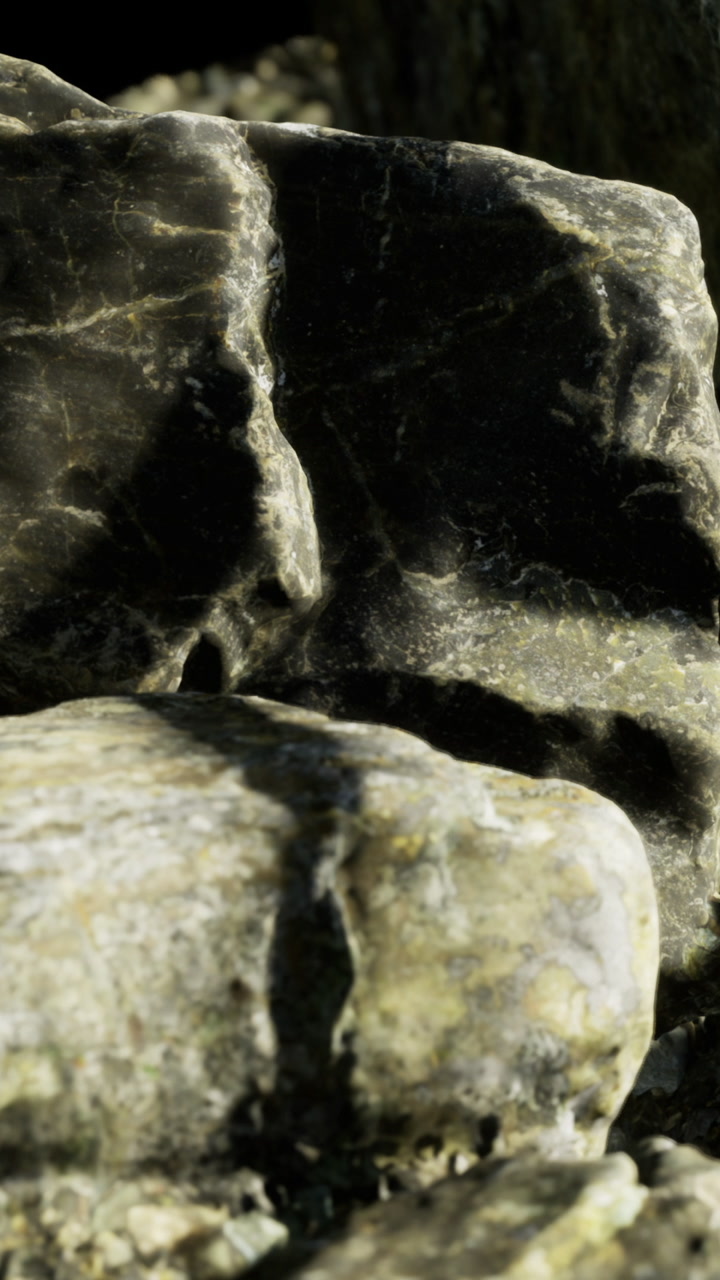 Rock formation in natural setting with sunlight filtering through trees