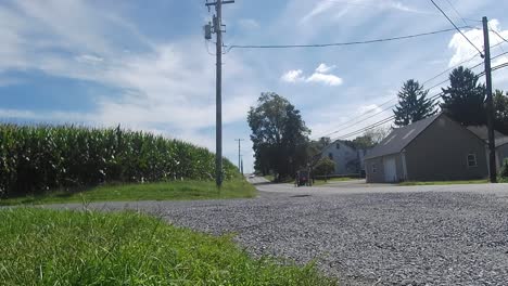 Amish-Horse-and-Buggy-going-down-the-Road