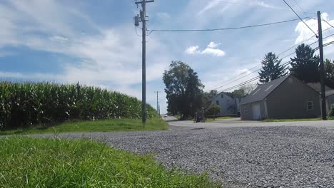 amish horse and buggy going down the road