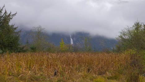 Escena-Tranquila-De-Campos-Dorados-Y-Cascadas-En-Montañas-Escarpadas-En-Cielo-Nublado