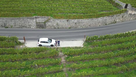 瑞士拉沃克斯 (lavaux) 葡萄酒和葡萄園的著名地區