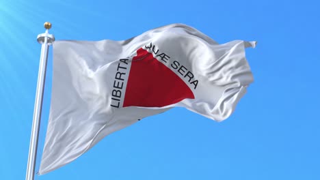 bandera del estado de minas gerais, brasil.
