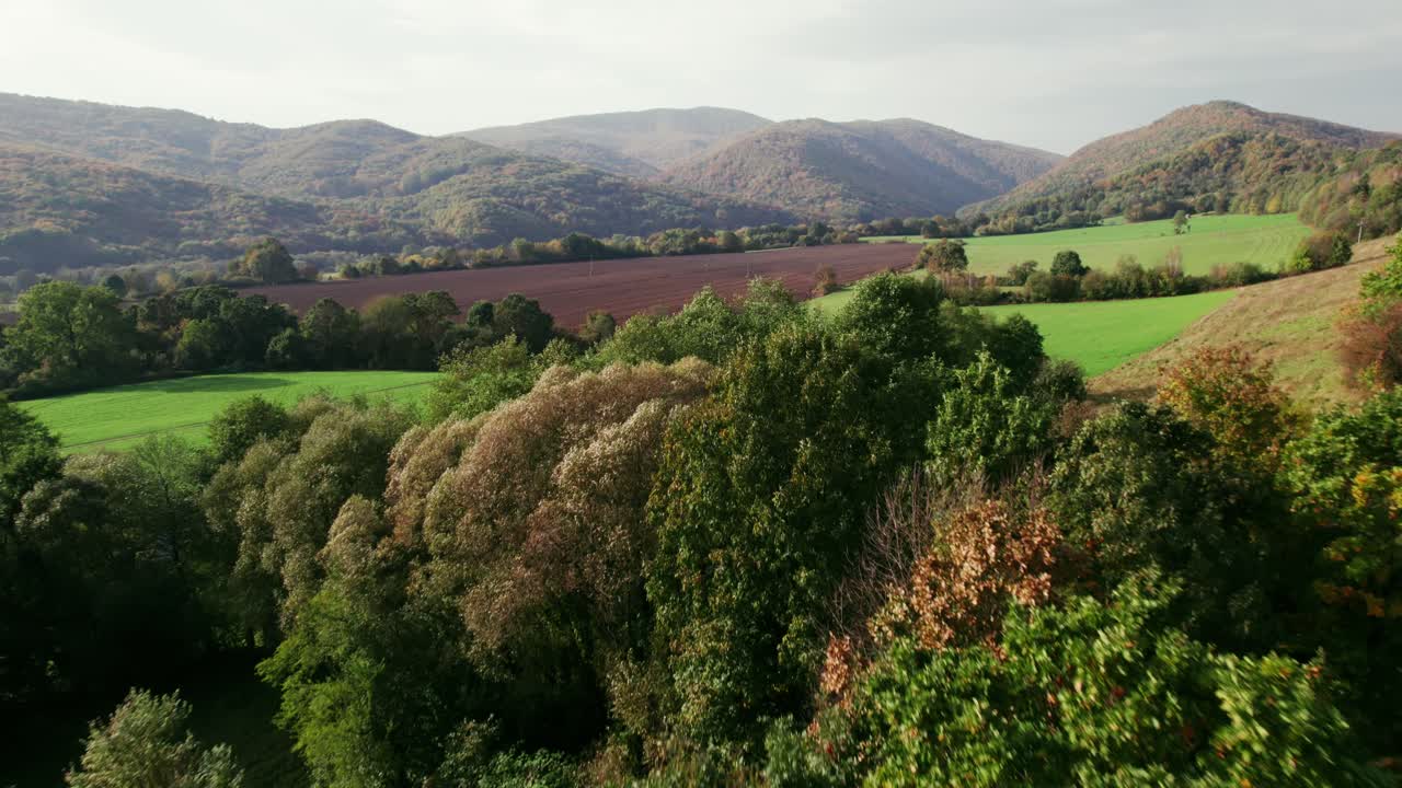 Drone shot of national park Poloniny, in autumn, sunset, forest and fields, hills in background,
