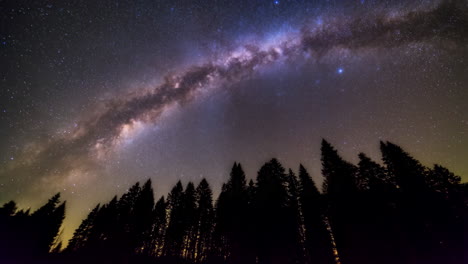 milky way galaxy over forest silhouette at night
