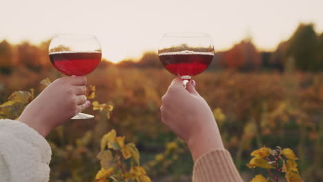 Two-hands-with-glasses-of-red-wine-clink-against-the-background-of-a-vineyard