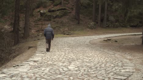 elderly man travels a stone road in the middle of a forest in the italian alps 4k slow motion