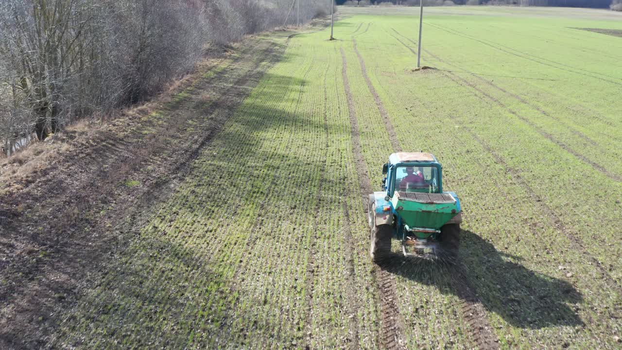 Farmer drive old tractor on wheat field, disperse solid fertilizer, Latvia
