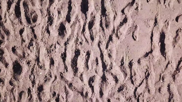 Footprints in the Sand