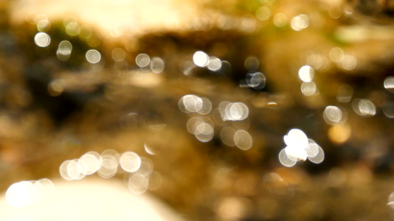 la luz parpadea en el pequeño arroyo que fluye