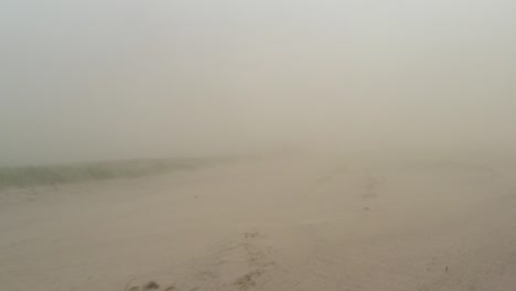 dust storm in the field. demolishes the fertile layer of black soil and crops.