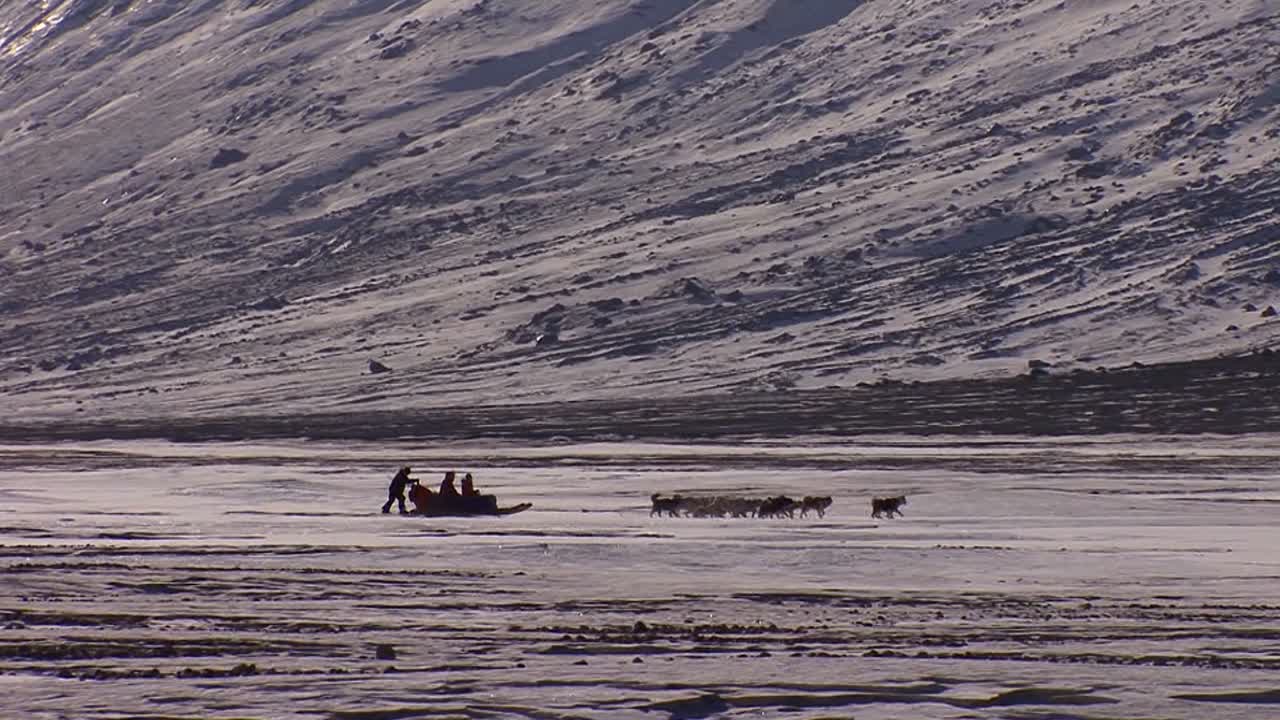멀리 떨어진 개썰매가 북극 툰드라를 가로질러 이동합니다.