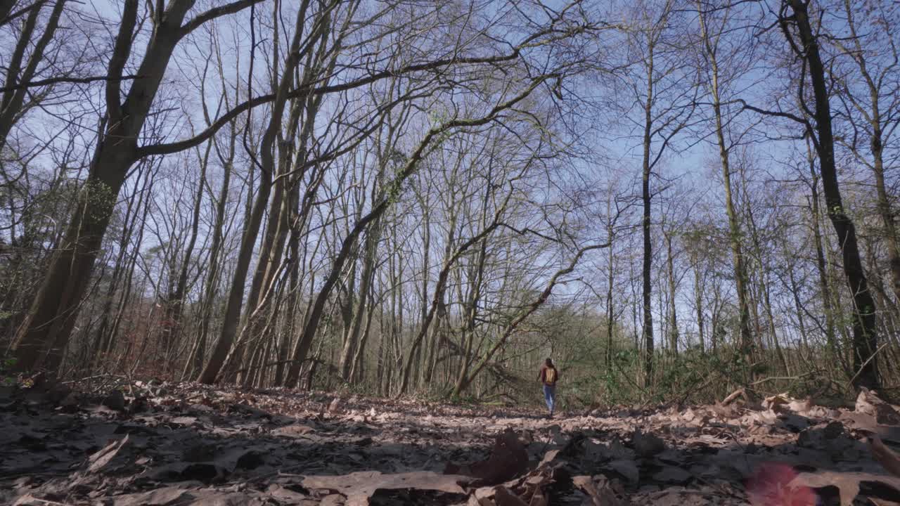 Lonely girl with tight jeans walking away from the camera into the woods of Beersel, Belgium, at the beginning of spring.