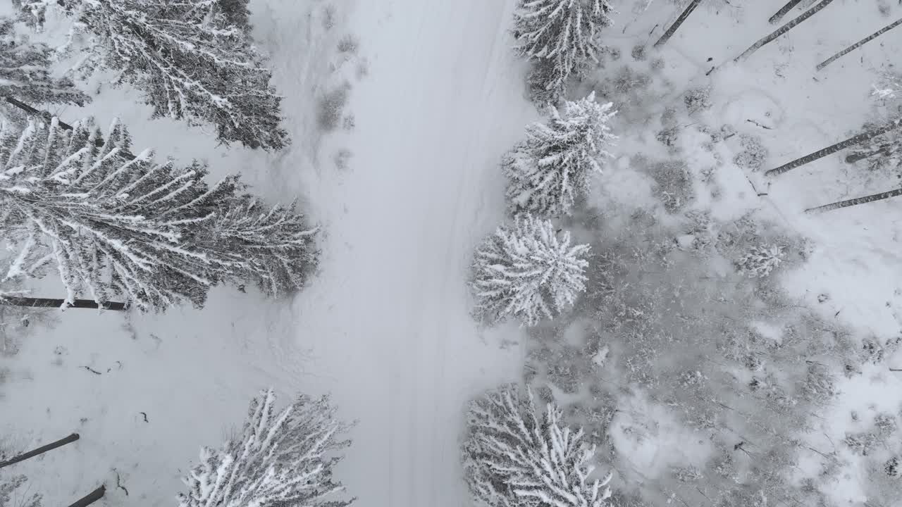 vista aérea de un camión que sale de una escena en un camino nevado en un bosque cubierto de nieve, en un día nublado de invierno - disparo de drones, disparo de seguimiento, sobrecarga