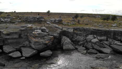 asunden nature reserve, gotland. tracking aerial shot of the raukfields