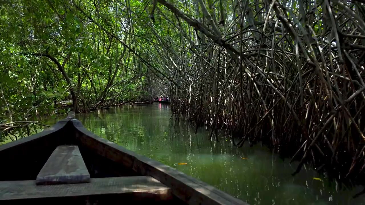 Viaggio in barca attraverso le mangrovie di Vakala: un sereno paesaggio tropicale delle backwaters con mangrovie verdi e lussureggianti. Le barche scivolano sull'ampia distesa d'acqua sotto un cielo azzurro e limpido, nelle Backwaters del Kerala.