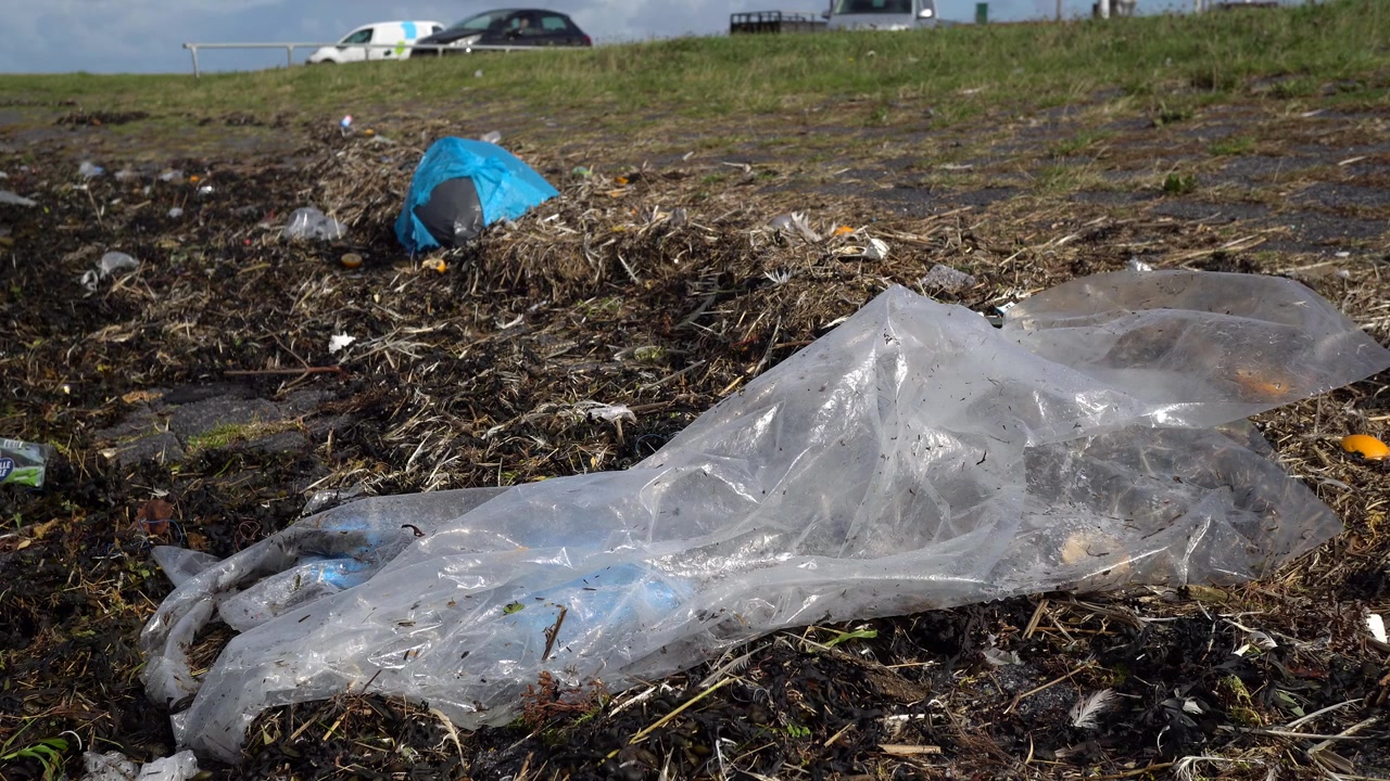 Rifiuti di plastica sulla costa. Mare dei Wadden. Paesi Bassi