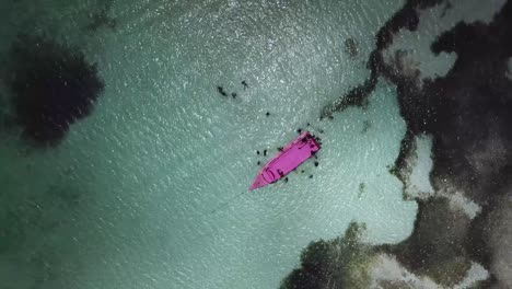 aerial footage of a glass bottom boat on nylon pool in tobago