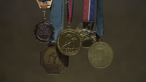 colección de medallas de lucha libre