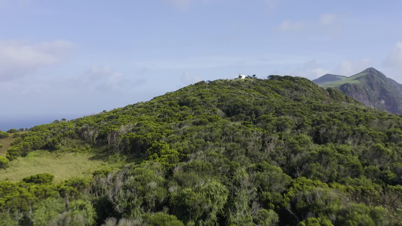 imágenes de drones del mirador vigia da baleia, rodeado de vegetación endémica, que revelan campos agrícolas en la isla de sao jorge, azores, portugal