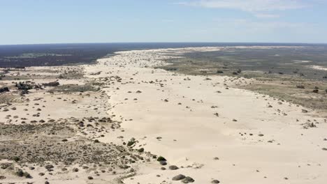 dunas de arena en el desierto australiano